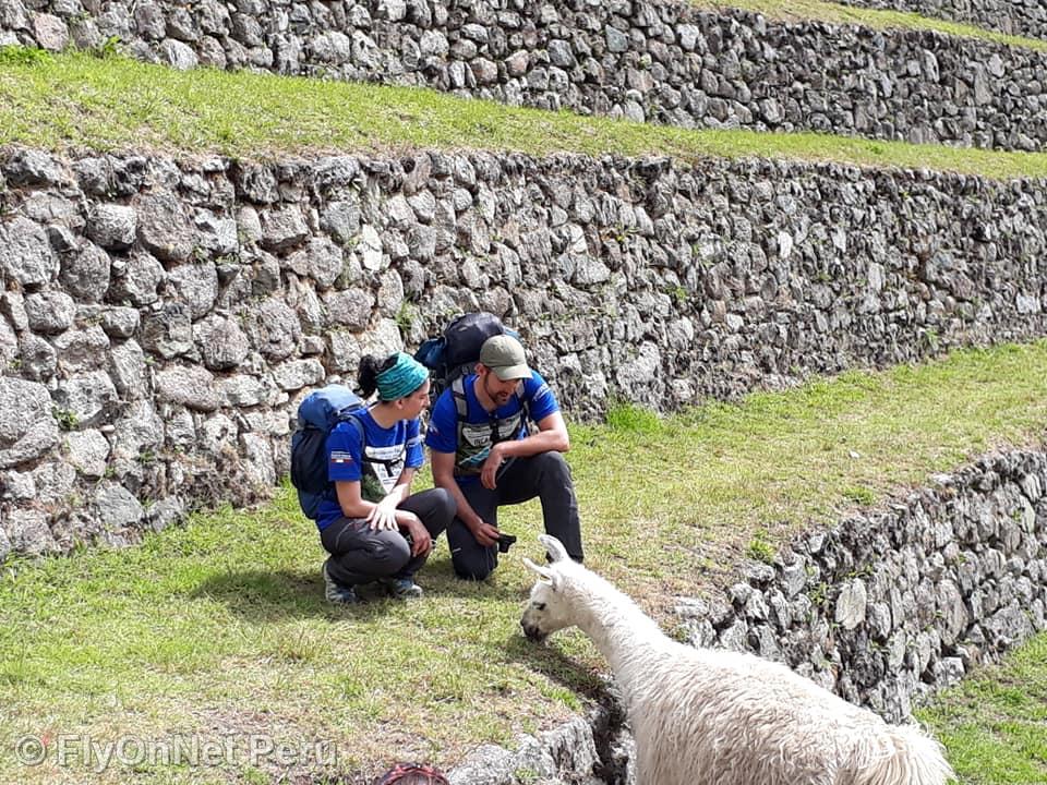 Album fotografico: Machu Picchu