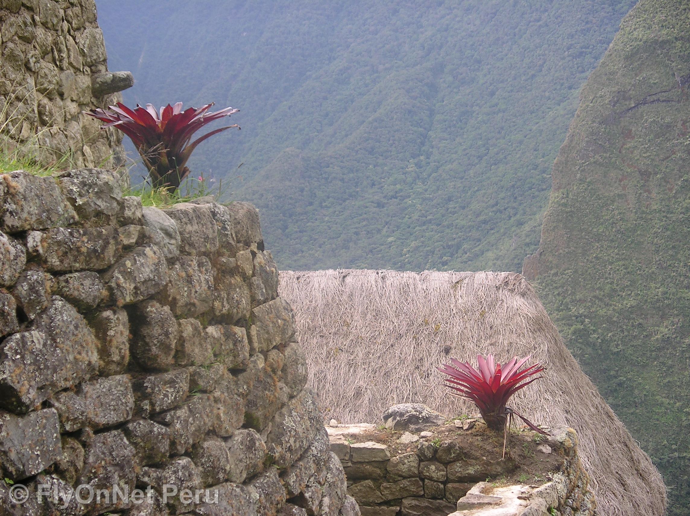 Album fotografico: Machu Picchu